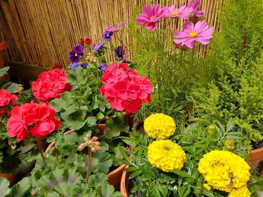 Appartamento The Boutique Garden York